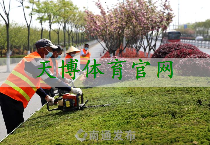 南开市政道路绿化树苗种类有哪些