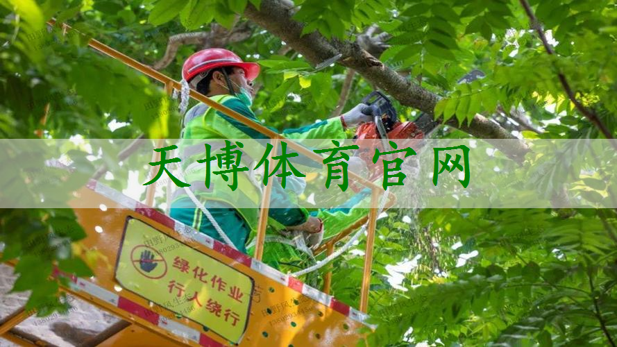 武清搞市政绿化是什么单位