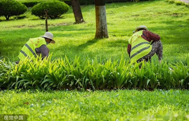 花箱园林景观设计定制方案