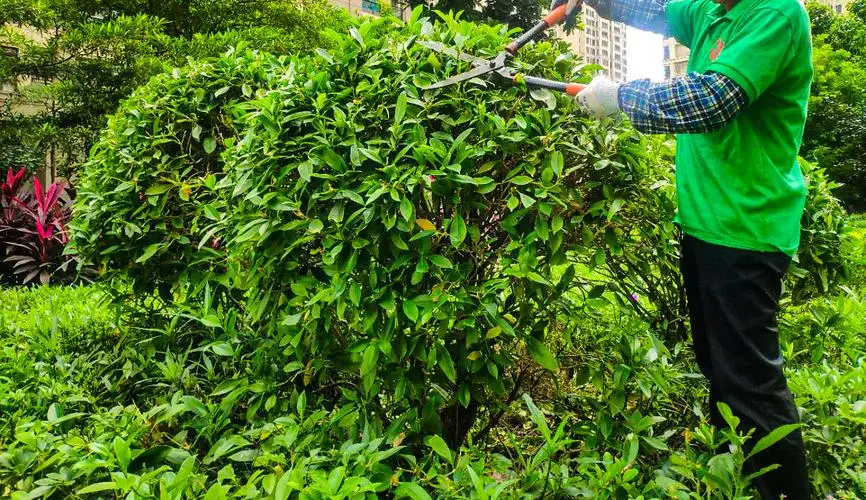 古建园林景观设计案例分析